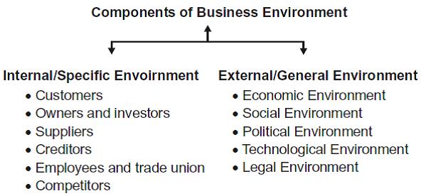 definition of business environment by authors